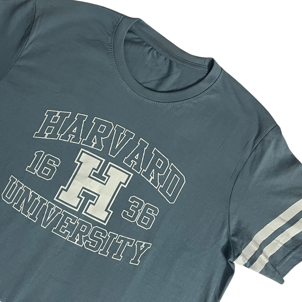 Harvard 1636 t-shirt